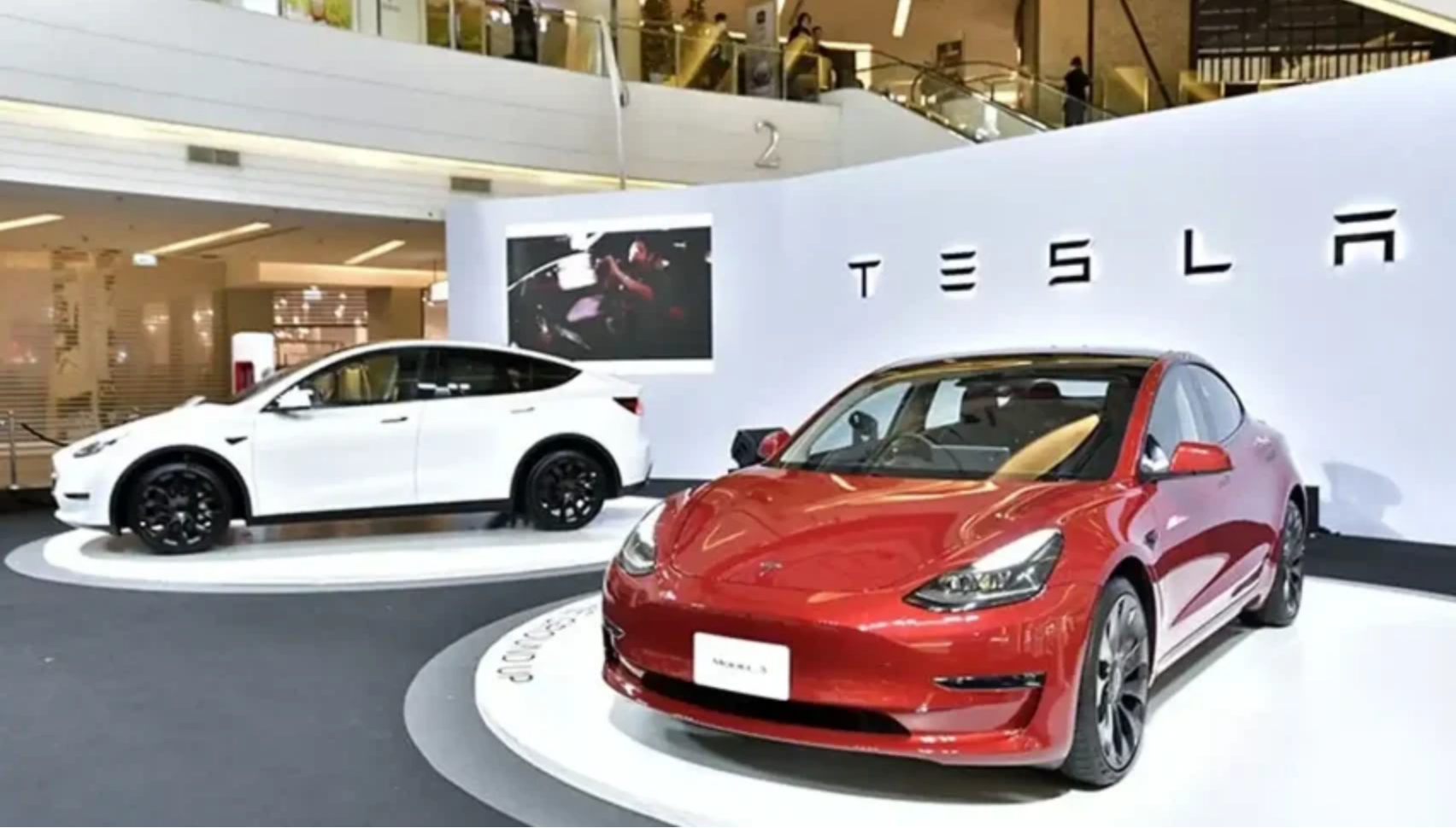 Tesla Stock Prediction 2025